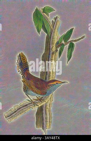 Un oiseau coloré perche sur une branche, entouré de feuilles vibrantes, présentant des détails complexes de ses plumes et la texture du feuillage., Bewicks Wren - Iron-Wood Tree, Wren (Thryomanes bewickii, Troglodytes bewickii), Ironwood Tree, signé : J.J. Audubon, J.T. Bowen, lithographie, PL. 118 (vol. 2), Audubon, John James (dessiné) ; Bowen, J. T. (lith.), 1856, John James Audubon : les oiseaux d'Amérique : à partir de dessins réalisés aux États-Unis et dans leurs territoires. New York : Audubon, 1856, Art classique avec une touche de modernité réinventé par Artotop Banque D'Images