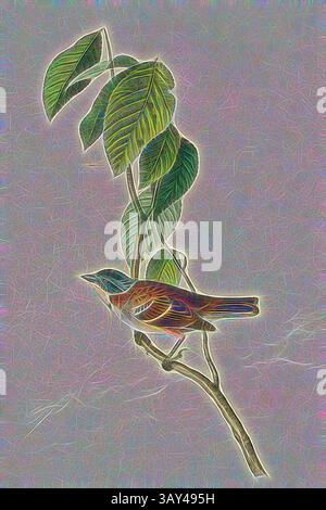 Un oiseau vibrant perché sur une branche élancée, entouré de feuilles vertes luxuriantes, dégageant un flair artistique qui met en valeur son plumage coloré et ses traits délicats., Morton's Finch, Finch (Fringilla mortonii), signé : J.J. Audubon, J.T. Bowen, lithographie, PL. 190 (vol. 3), Audubon, John James (tiré) ; Bowen, J. T. (lith.), 1856, John James Audubon : les oiseaux d'Amérique : à partir de dessins réalisés aux États-Unis et dans leurs territoires. New York : Audubon, 1856, Art classique avec une touche de modernité réinventé par Artotop Banque D'Images