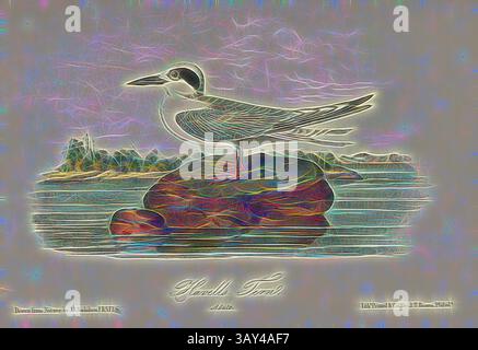 Représentation stylisée d'un oiseau perché sur un rocher au bord de l'eau, entouré d'un paysage coloré et abstrait qui évoque des collines lointaines et un environnement serein., Havells Tern, Tern (Sterna havellii), signé : J.J. Audubon, J.T. Bowen, lithographie, PL. 434 (vol. 7), Audubon, John James (tiré) ; Bowen, J. T. (lith.), 1856, John James Audubon : les oiseaux d'Amérique : à partir de dessins réalisés aux États-Unis et dans leurs territoires. New York : Audubon, 1856, Art classique avec une touche de modernité réinventé par Artotop Banque D'Images