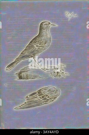 Représentation stylisée d'un oiseau perché sur une surface rocheuse, mettant en valeur un travail au trait complexe et un arrière-plan doux et éthéré. Le design souligne l'élégance de l'oiseau et de son environnement avec une qualité onirique., Singvogel, Lark, gravure sur cuivre, pl. 13, après p. 202, Johann Gerhard Reinhard Andreae, Briefe aus der Schweiz. Nach Hannover geschrieben in dem Jare 1763. Zürich [etc] : BEI Joh. Caspar Füessli Sohn [etc], 1776, Art classique avec une touche moderne réinventée par Artotop Banque D'Images