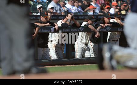 14 septembre 2016 - San Francisco, CA, USA - les Giants de San Francisco, dont Brandon Belt (9), Jake Peavy (22), Jeff Samardzija (29) et Kelby Tomlinson, regardent depuis la dugout contre les Padres de San Diego en huitième manche à AT&T Park à San Francisco le mercredi 14 septembre 2016. Les Padres ont gagné, 3-1. (Crédit image : © Dan Honda/TNS via ZUMA Wire) Banque D'Images