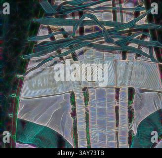 Une représentation abstraite de lacets de chaussures complexes entrelacés avec un fond multicolore, soulignant les détails et les textures de la chaussure., robe de cour impériale russe, Charles Frederick Worth, designer (anglais, 1825-1895), vers 1888, velours de soie, argent lamÃ© moirÃ©, brodé avec des cristaux de verre clairs, des paillettes argentées, du papier d'argent, des bandes d'argent, A) corsage : épaule à ourlet 14 po, taille 27 po. B) jupe : de l'avant à l'ourlet 47-1/2 po. C) train : 130 x 60 po., Label : Paris, C WORTH, Paris, textile et Arts de la mode, Art classique avec une touche moderne réinventée par Artotop Banque D'Images