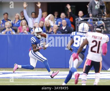 9 octobre 2016 - Indianapolis, Indianapolis, États-Unis - le receveur T.Y. Hilton (13) des Colts d'Indianapolis effectue une passe pour un touchdown de quatrième quart-temps contre les Bears de Chicago le dimanche 9 octobre 2016 au Lucas Oil Stadium à Indianapolis, Ind Les Colts remportent le match 29-23. (Crédit image : © Sam riche/TNS via ZUMA Wire) Banque D'Images