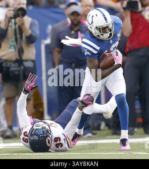 9 octobre 2016 - Indianapolis, IN, États-Unis - Indianapolis Colts Wide receveur T.Y. Hilton (13) attrape une passe contre Chicago Bears Cornerback Jacoby Glenn (39) le dimanche 9 octobre 2016 au Lucas Oil Stadium à Indianapolis, Ind Les Colts remportent le match 29-23. (Crédit image : © Sam riche/TNS via ZUMA Wire) Banque D'Images