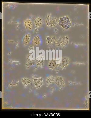 Un arrangement abstrait de formes irrégulières et de motifs complexes, ressemblant à une collection de formes organiques ou géologiques, interconnectées par des lignes fines et des textures qui créent une sensation de profondeur et de mouvement., dessin - crayon et aquarelle sur papier, dessin non numéroté finalement publié comme planche 38 dans The Prodromus of the Zoology of Victoria par Frederick McCoy., Art classique avec une touche moderne réinventé par Artotop Banque D'Images