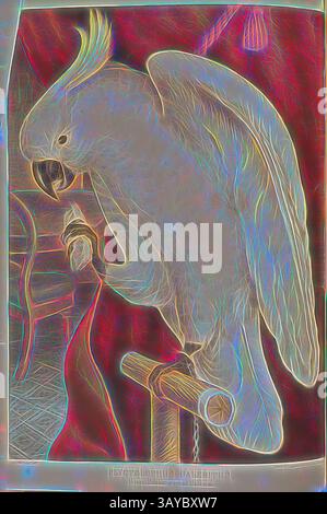 Un oiseau frappant avec une crête proéminente perche sur un bâton, mettant en valeur ses plumes complexes et son regard intense. L'arrière-plan vibrant renforce sa présence colorée, créant un point focal captivant., plate - Great Sulphur-crête Cockatoo, Plyctolophus Galeritus, cette impression chromolithographique a été faite après une aquarelle originale de James Whitley Sayer pour le révérend J.J. Halley A Monograph of the Psittacidae or Parrot Family of Australia (1871). Le lithographe de cette plaque est inconnu, bien que l'impression couleur soit connue pour avoir été faite par Hamel & Ferguson de Melbourne. Le domestique Banque D'Images