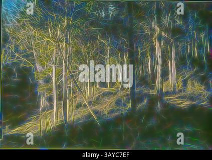 Une scène de forêt de rêve avec des arbres éthérés et une brume de couleurs vibrantes, créant une atmosphère enchanteresse qui invite à l'exploration et à l'imagination., Lantern Slide - Blackwood Trees, Kallista, Victoria, 1936, image couleur des blackwood Trees, Acacia melanoxylon, croissant le long de la vieille route, Kallista à Victoria, photographié par A.G. Campbell, fils de A.J. Campbell. Cette espèce particulière est un bois d'armoire très apprécié., art classique avec une touche moderne réinventée par Artotop Banque D'Images