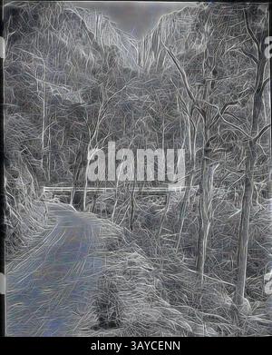Un chemin sinueux mène à travers une forêt dense, flanquée d'arbres imposants et d'un terrain accidenté, invitant à l'exploration dans le paysage mystérieux à venir., Lantern Slide - Road, Mt Buffalo, Victoria, date inconnue, image en noir et blanc de la route au sommet du Mt Buffalo qui a été construite en 1908, photographiée par A.J. Campbell. C'est l'une des nombreuses diapositives de lanterne en verre qui forment la collection A.J. Campbell tenue par Museums Victoria., art classique avec une touche moderne réinventée par Artotop Banque D'Images