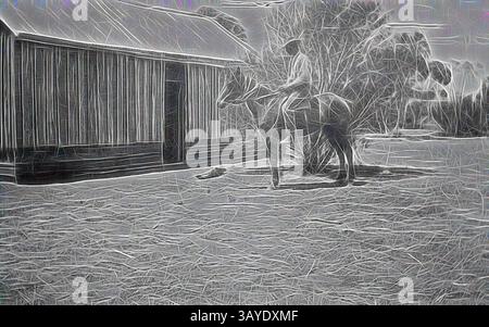 Un cavalier est assis sur un cheval à l'extérieur d'une grange rustique, entouré de champs ouverts et d'arbres, créant une atmosphère sereine et isolée., négatif - Manangatang, Victoria, vers 1930, Un homme à cheval devant une maison avec des murs de planches de pin verticales., Art classique avec une touche moderne réinventé par Artotop Banque D'Images