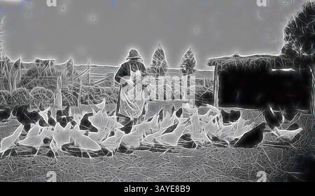 Un agriculteur tend à un troupeau d'oies, entouré d'un paysage rural serein avec des arbres et un abri en arrière-plan. La scène capture l'harmonie de la vie de la ferme, soulignant le lien entre le gardien et les animaux., négatif - Carwarp, Victoria, circa 1935, Une femme nourrissant les volailles sur la ferme 'Sunny Hill'., art classique avec une touche moderne réinventée par Artotop Banque D'Images