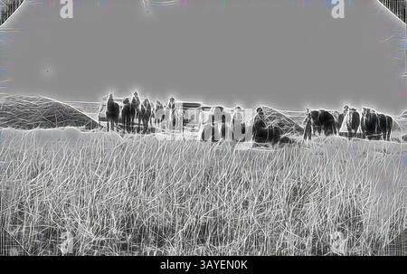 Un groupe de personnages se dresse au milieu de hautes herbes, silhouettées sur un fond large et silencieux. L'atmosphère évoque un sentiment de contemplation tranquille et de profondeur, comme les individus semblent engagés dans un moment partagé., négatif - Nouvelle-Galles du Sud, vers 1895, Une opération de battage sur la station 'Murray Flats'., Art classique avec une touche moderne réinventée par Artotop Banque D'Images