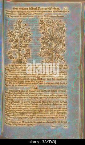 Une page illustrée présentant des dessins botaniques détaillés de diverses plantes, accompagnés d'un texte allemand qui décrit leurs caractéristiques et leurs utilisations. Les mises en page soulignent les détails complexes des feuilles et des fleurs, mettant en valeur l'art et la connaissance de l'époque., Hyoscyamus et demandez si hyoscyamus Peruvianus Dodavahu, Henbane, Fol. 373r, 1590, Pietro Andrea Mattioli, Joachim Camerarius : Kreuterbuch desz hochgelehrten unnd weitberühmten Herrn D. Petri Andreae Matthioli. Franckfort am Mayn : [Feyrabendt], 1590, Art classique avec une touche moderne réinventé par Artotop Banque D'Images