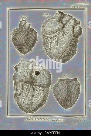 Une illustration anatomique détaillée présentant diverses structures cardiaques, étiquetées et positionnées pour plus de clarté, mettant en évidence la complexité de l'anatomie cardiovasculaire., anatomie, le cœur, le cœur, signé : Benard direx, PL. 17, après p. 48, Benard (dir.), 1778, Denis Diderot ; M. d'Alembert : Encyclopédie, ou dictionnaire raisonné des sciences, des arts et des métierss, des arts et des métiers. Genève : chez Pellet, MDCCLXXVIII [1778], Art classique avec une touche moderne réinventé par Artotop Banque D'Images