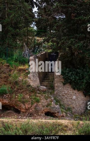 Escalier en pierre caché à une porte mystérieuse dans la forêt Banque D'Images