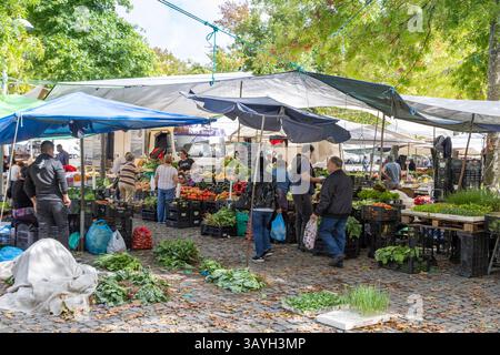 Vue sur le beau et animé marché hebdomadaire en plein air vendant tout comme les fruits et légumes produits localement, à Barcelos, Portugal Banque D'Images