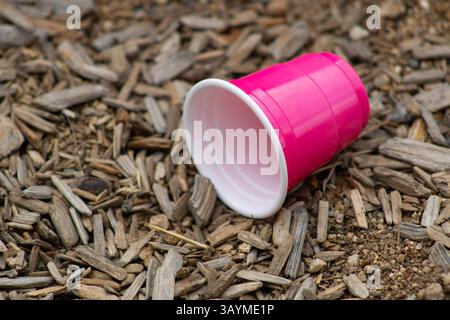 coupe solo miniature rose vif Banque D'Images