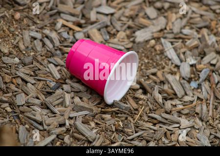 coupe solo miniature rose vif Banque D'Images
