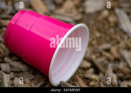 coupe solo miniature rose vif Banque D'Images