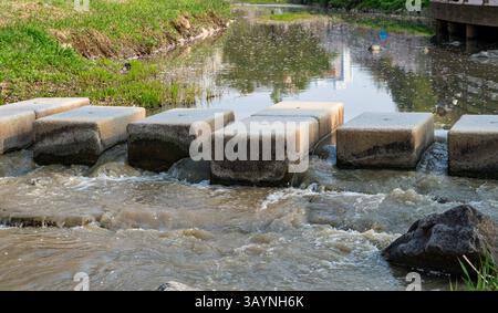 Une scène naturelle sereine d'un ruisseau peu profond coulant doucement à travers la forêt avec des pierres de pierre qui traversent l'eau. Banque D'Images