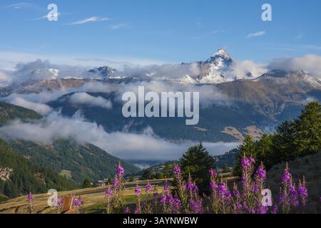 3320 mètres de haut pic de Rochebrune dans le massif du Queyras, vu du village de montagne de Saint-Véran, plus haute commune d'Europe, depar Banque D'Images