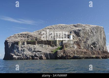 Grande île rocheuse avec phare au milieu de la mer, entourée d'oiseaux, Bass Rock, North Berwick, Écosse, grande-Bretagne Banque D'Images