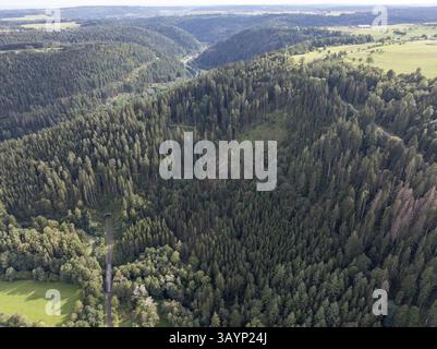 Neubulach, Bade-Wuerttemberg, Allemagne, un vaste paysage forestier avec des collines et une population d'arbres dense vue d'en haut, Europe Banque D'Images