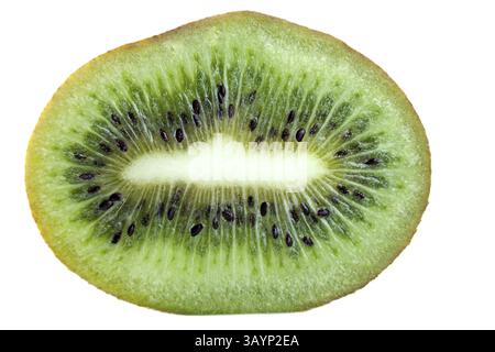 Tranche de Kiwi macro isolé sur fond blanc Banque D'Images