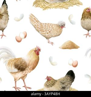 Poulets beiges poules et coq avec des œufs et des nids aquarelle motif sans couture sur blanc. Oiseaux de cour de volaille pour dessins d'animaux de ferme. Volailles réalistes Banque D'Images