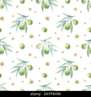 Branches d'olivier avec des feuilles, des fruits et des fleurs motif aquarelle sans couture. Verdure botanique dessinée à la main illustration isolée avec des olives vertes pour les aliments biologiques et les emballages cosmétiques naturels. Banque D'Images