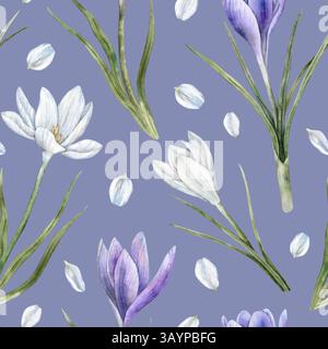 Crocus violets et blancs avec feuilles vertes et pétales blancs. Motif botanique sans couture de ressort d'aquarelle sur fond violet, adapté au mariage Banque D'Images
