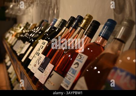 Hambourg, Allemagne. 23 avril 2025. Les bouteilles de vin se trouvent dans une succursale de 'Jacques' Wein-Depot' dans le quartier Osdorf de Hambourg. Jacques' Wein-Depot Wein-Einzelhandel GmbH' est une filiale de 'Hawesko Holding se', qui publie son rapport annuel. Crédit : David Hammersen/dpa/Alamy Live News Banque D'Images