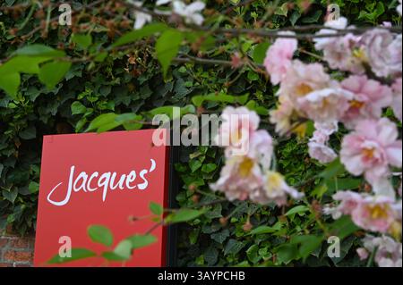Hambourg, Allemagne. 23 avril 2025. Le mot « Jacques » est écrit sur une pancarte dans le quartier Osdorf de Hambourg. Jacques' Wein-Depot Wein-Einzelhandel GmbH' est une filiale de 'Hawesko Holding se', qui publie son rapport annuel. Crédit : David Hammersen/dpa/Alamy Live News Banque D'Images