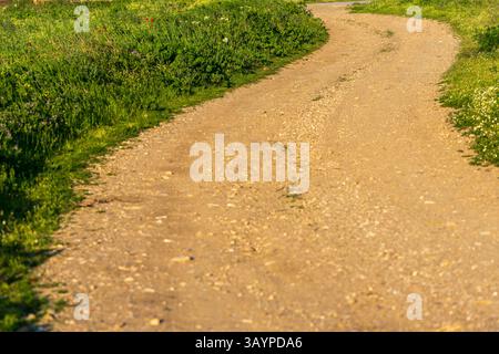 Courbes de ressort Banque D'Images