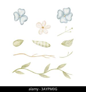 Watercolor illustration wild field flowers blue, white with leaves. Set hand drawn isolates in cartoon style for design cards, posters, invitations Banque D'Images
