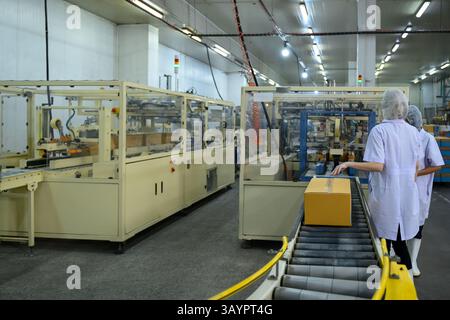 Ouvriers d'usine supervisant des produits en boîte sur un tapis roulant dans une boîte de poisson Banque D'Images