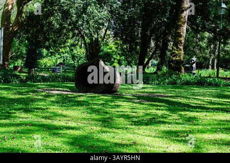 Bûche creuse dans un parc forestier pittoresque, entouré d'arbres et de verdure sous la lumière du soleil. Banque D'Images