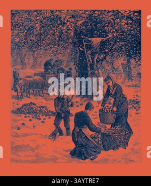 Une scène historique représentant des gens récoltant des pommes dans un verger, avec des ouvriers ramassant des fruits dans des paniers, une figure sur une échelle, et des chevaux tirant un chariot en arrière-plan. Le cadre est animé et met en valeur le travail et la communauté impliqués dans la cueillette des fruits. La Grande tempête d'octobre, les agriculteurs ramassent à la hâte leurs pommes face à la tempête de neige dans l'ouest de New York, aux États-Unis, gravant 1880 1881 art classique avec une touche moderne réinventée par Artotop Banque D'Images