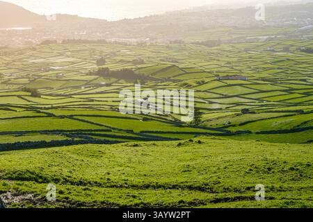 Golden Hour illumine l'envoûtant patchwork de pâturages aux murs de pierre dans le paysage verdoyant de la vallée. Vue aérienne des champs agricoles traditionnels dans Banque D'Images
