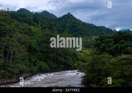 Rivière immaculée qui coule à travers la forêt tropicale luxuriante en Colombie Banque D'Images