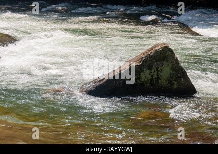 Eau de rivière coulant sur les rochers et le rocher mousselé Banque D'Images
