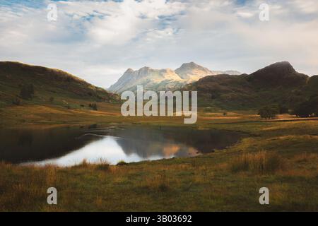 Une vue tranquille sur Blea Tarn dans le Lake District, avec le lac serein reflétant les majestueux Langdale Pikes sous un ciel matinal paisible. Banque D'Images