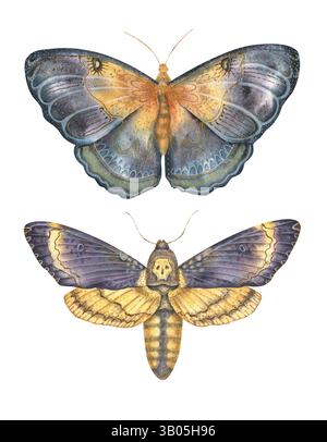 Illustration aquarelle de deux papillons réalistes avec des motifs d'ailes complexes dans les tons or, bleu et violet. Parfait pour les impressions nature, vintage Banque D'Images