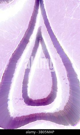 Un motif tourbillonnant de formes en couches crée un visuel saisissant avec une forme de larme centrale, rayonnant une lueur éthérée qui attire l'œil vers l'intérieur., Une pierre précieuse ronde avec des motifs tourbillonnants complexes, dominé par une teinte lavande douce, avec des lignes sombres frappantes qui créent un motif de larme. Art classique avec une touche moderne réinventé par Artotop, ornement arabe transformé, art classique avec une touche moderne réinventé par Artotop Banque D'Images