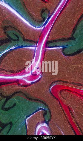 Un design abstrait avec des tourbillons vibrants de lignes rouges et dynamiques, sur un fond complexe qui fait allusion à des formes organiques. Les couleurs s'entrelacent, créant un sentiment de mouvement et d'énergie au sein de la composition., Un design circulaire avec des motifs complexes et tourbillonnants en rouge et vert, créant un flux dynamique et organique tout au long de la composition. L'interaction des couleurs donne l'impression de profondeur et de mouvement. Art classique avec une touche moderne réinventé par Artotop, ornement persan transformé, art classique avec une touche moderne réinventé par Artotop Banque D'Images