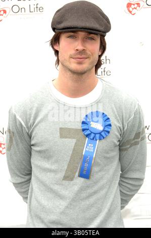 22 AVRIL 2007 - HOLLYWOOD, CALIFORNIE, ÉTATS-UNIS - K52650DL.NEW LEASH ON LIFE PRÉSENTE LA 6ÈME EXPOSITION ANNUELLE DE CHIENS NOIX POUR LES MOUTONS ET FOIRE AU SHEPARD STADIUM, WOODLAND HILLS CA.4-22-07. - 2007.IMAGE : IAN SOMERHALDER(crédit image : © Dave Longendyke/Globe photos/ZUMAPRESS.com) Banque D'Images