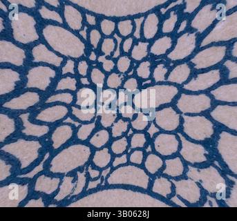Un motif complexe de formes interconnectées, ressemblant à un réseau de bulles ou de formes organiques, mis en valeur dans un bleu frappant sur un fond contrasté., Un design circulaire avec des motifs complexes de petites formes arrondies entrecoupées de lignes décoratives et de motifs, mettant en valeur un mélange harmonieux de formes organiques et de détails géométriques. Art classique avec une touche moderne réinventé par Artotop, ornement chinois transformé, art classique avec une touche moderne réinventé par Artotop Banque D'Images