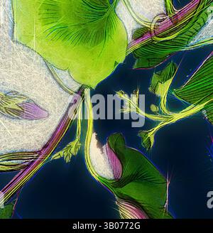 Un arrangement vibrant de feuilles et de bourgeons s'entrelacent, mettant en valeur un mélange de teintes vertes avec de délicates touches de rose, mis en évidence sur un fond contrasté. Les motifs complexes soulignent la beauté naturelle et la complexité de la vie végétale., Un globe vibrant couvert de feuilles vertes complexes et de délicats accents floraux, mettant en valeur la beauté de la nature entrelacée avec la forme de la planète. Art classique avec une touche moderne réinventé par Artotop, Linaria Cymbalaria transformé, Toadflax à feuilles de lierre, Art classique avec une touche moderne réinventé par Artotop Banque D'Images