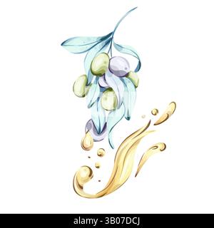 Belle illustration aquarelle des olives et de l'huile d'olive célébrant la cuisine italienne et la richesse des natures Illustration de Vecteur
