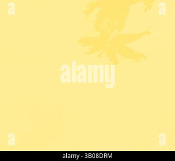 Un fond doux et texturé dans une nuance chaude de jaune, avec des motifs subtils qui évoquent un sentiment de calme et de sérénité., Un grand cercle jaune pâle présente un motif de feuilles subtil, créant une sensation sereine et minimaliste. Art classique avec une touche moderne réinventé par Artotop, tissus français transformés, première moitié du XIXe siècle, art classique avec une touche moderne réinventé par Artotop Banque D'Images