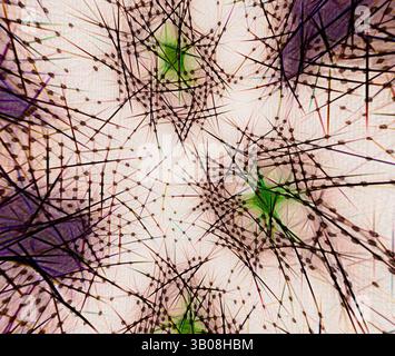 Un jeu complexe de lignes et de formes vibrantes forme un réseau complexe, ressemblant à un motif abstrait dynamique rempli d'éclats énergiques de couleur et de texture., Un motif circulaire présentant des motifs complexes avec des formes organiques entrelacées avec des lignes délicates, avec un mélange de verts vibrants et de violets profonds sur un fond clair. Art classique avec une touche moderne réinventé par Artotop, tissus français transformés, première moitié du XIXe siècle, art classique avec une touche moderne réinventé par Artotop Banque D'Images